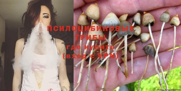 шишки Алзамай